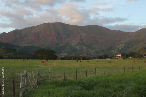Caledonian farm