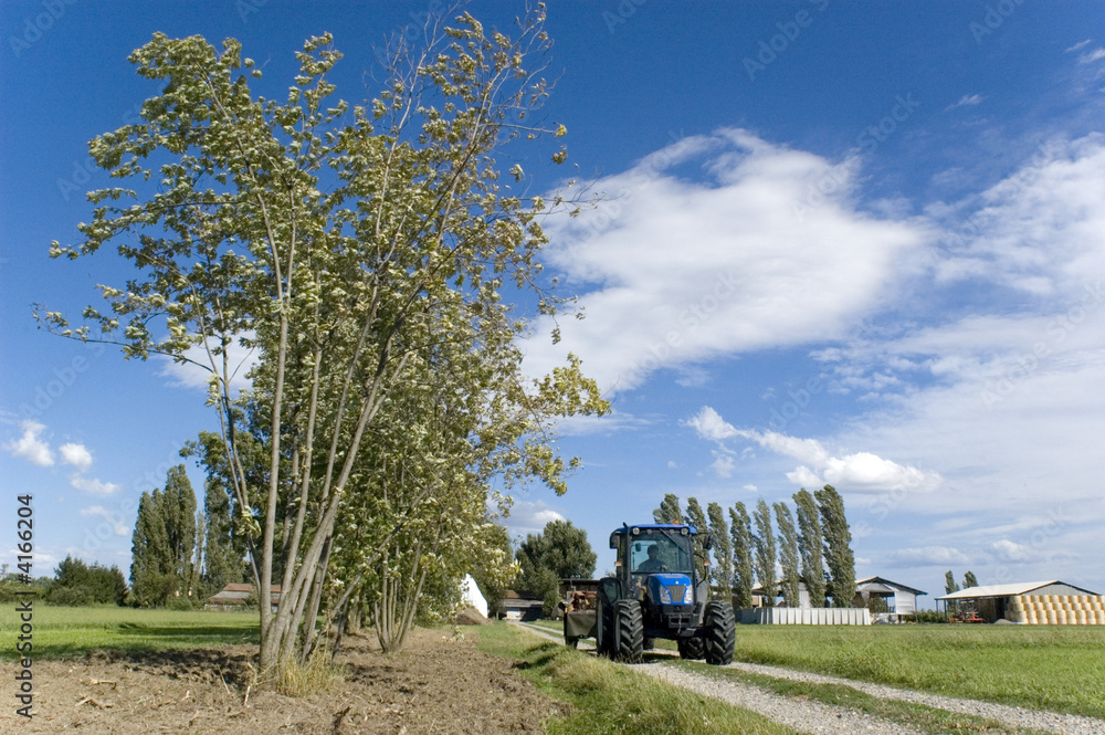 Naklejka premium trattore