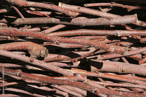 Photos fagot de bois