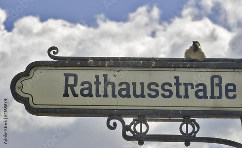 Rathausstrasse photo