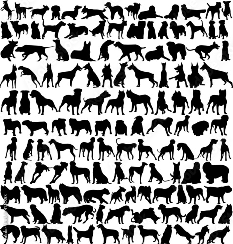hundreds of silhouettes of dogs