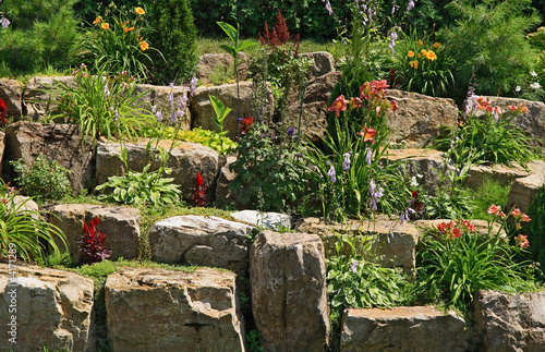 Flowering garden on stones