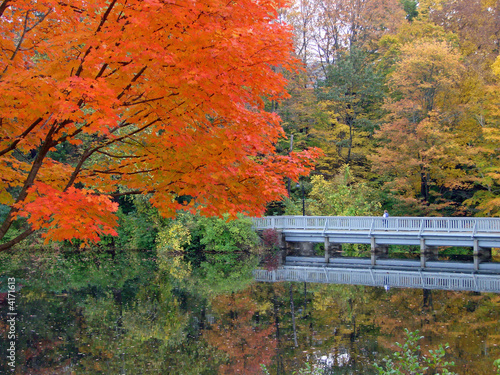 Autumn Walkway