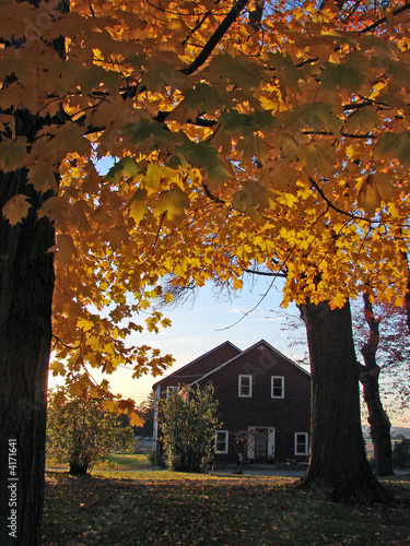 New England Fall Foliage