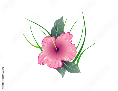Rose vecteur