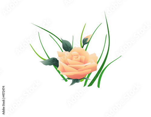 Fleur vecteur