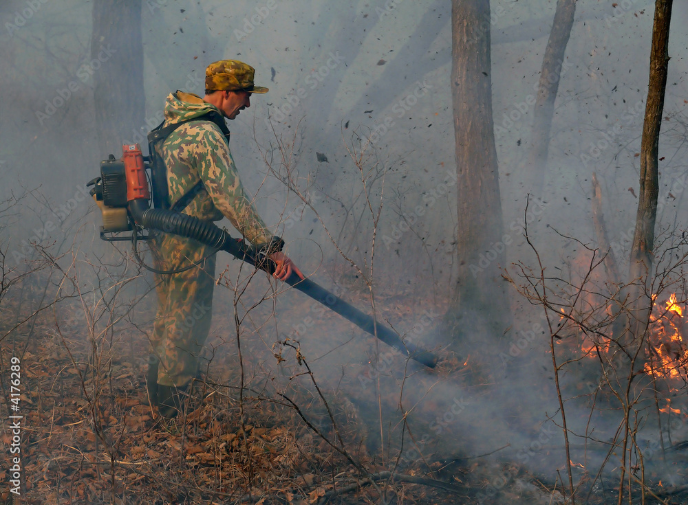 Naklejka premium Suppression of Forest Fire 5