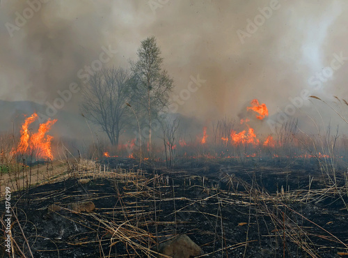 Photography Fire 7