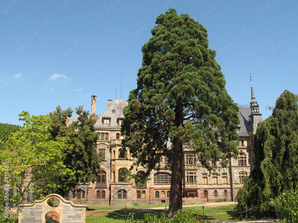 Schloß Lieser an der Mosel