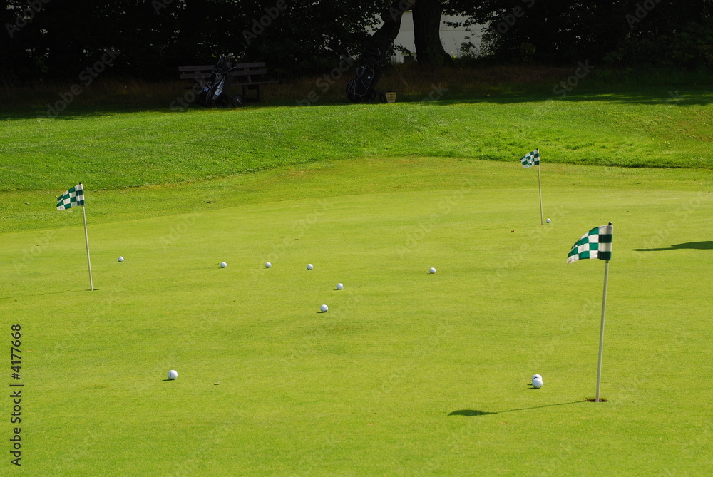 Obraz premium golf2