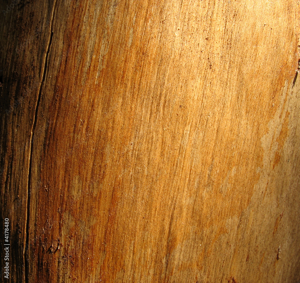 Naklejka premium Wood Background 2