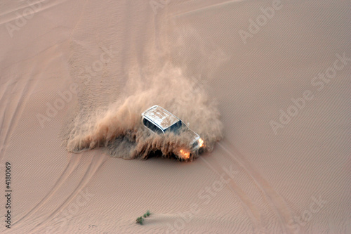 Desert Safari
