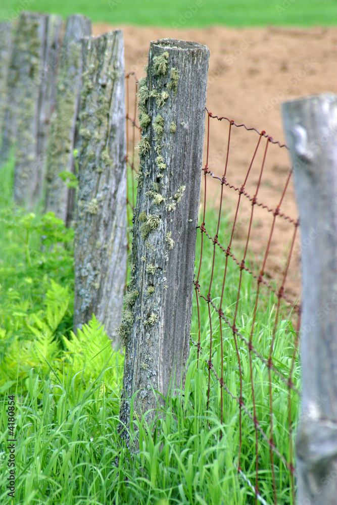 Fototapeta premium Old wood post