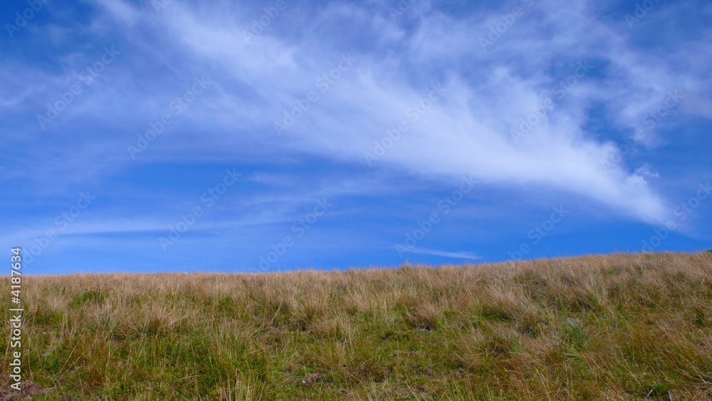 prairie et ciel