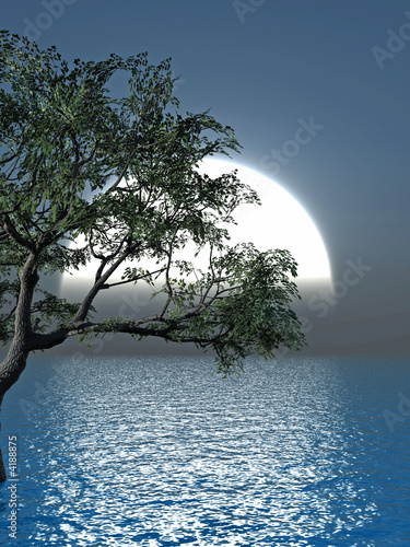 Old tree