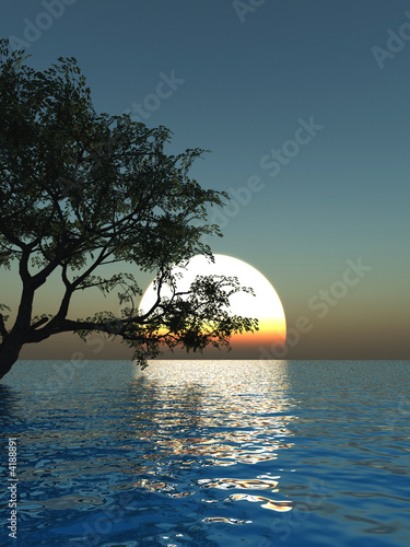 Old tree