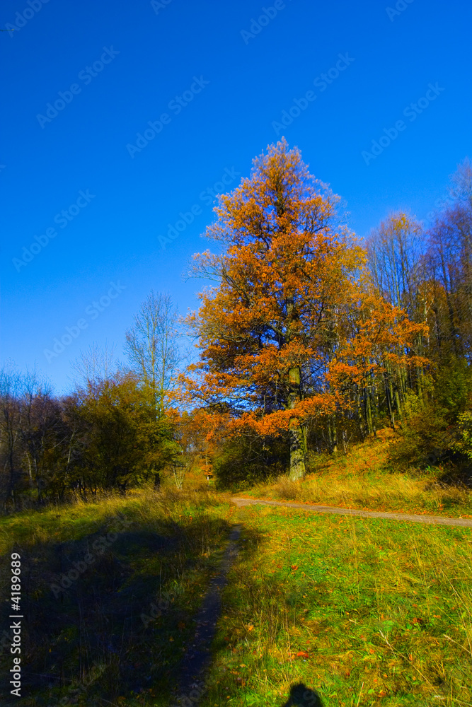 Autumn Autumn