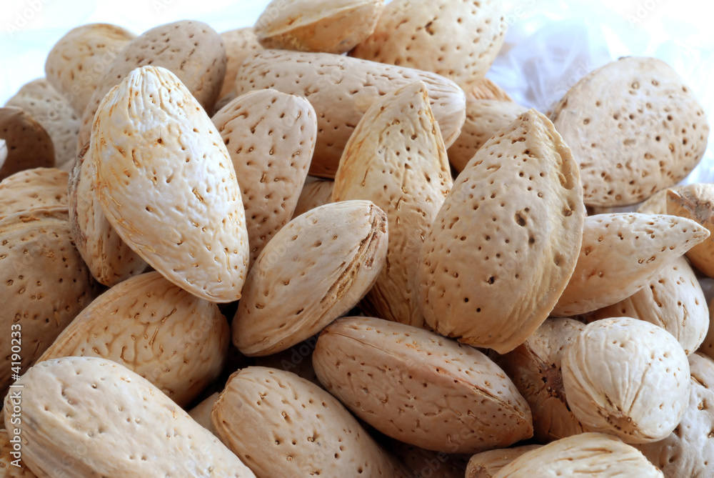 mandels mandels