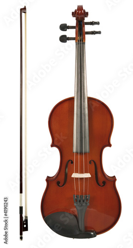 Violin
