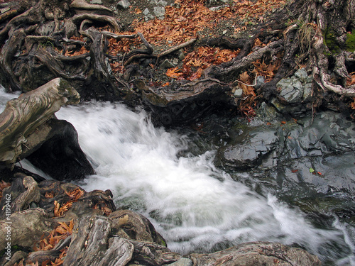 Water Stream
