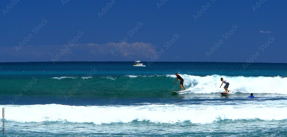 surf : sport nautique