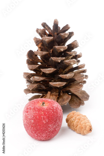 Pine Cone and sugared Fruit