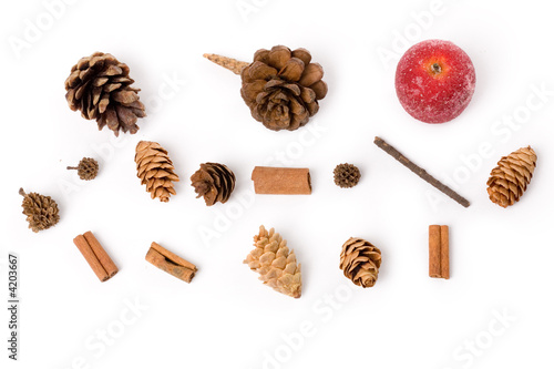 Pine Cone and sugared Fruit