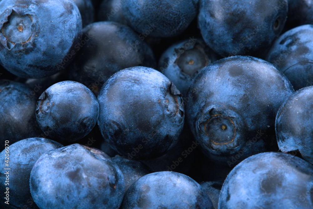Obraz premium blueberries