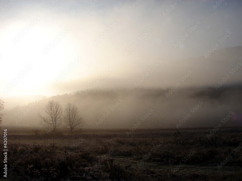 Frosty Morning Mountaintop