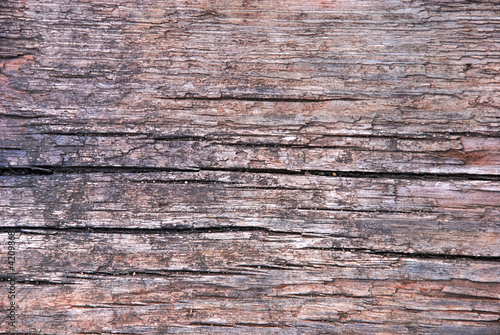 Old wood background or texture