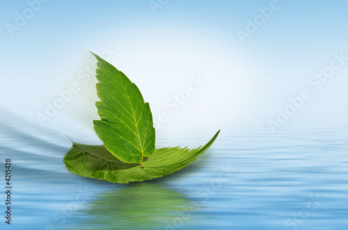 green leaf boat