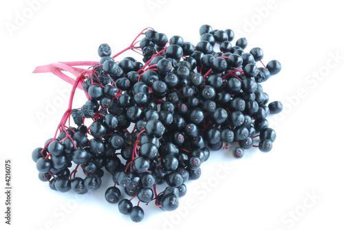 black elder