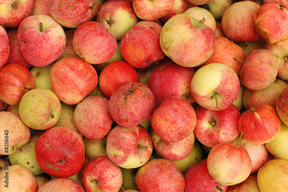 apple(2) apple(2)