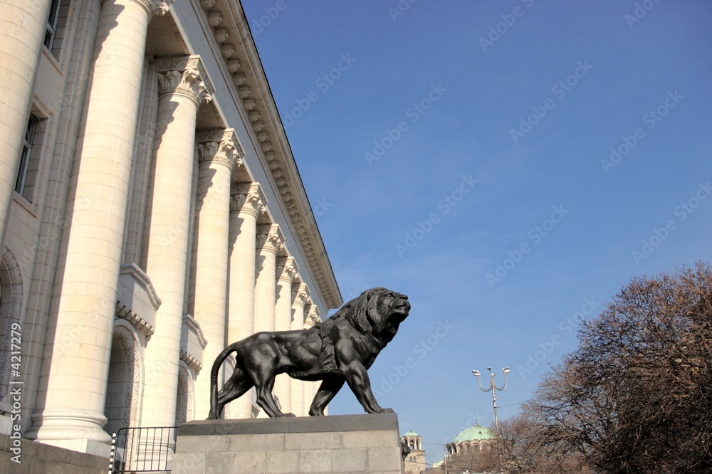 Naklejka premium lion statue in front