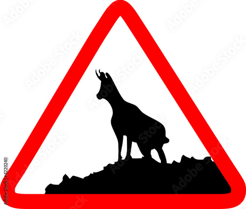 Attention chamois