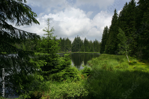 Landscape, 6