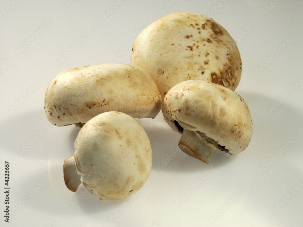 agaric, field mushroom,shampignon, food, vegetable, healthy agaric, field mushroom,shampignon, food, vegetable, healthy