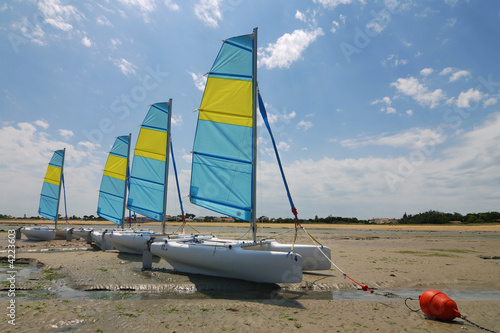 Tableau sur toile Catamaran sailing boats
