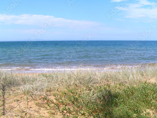 Fototapeta Naklejka Na Ścianę i Meble -  grassy duned beach