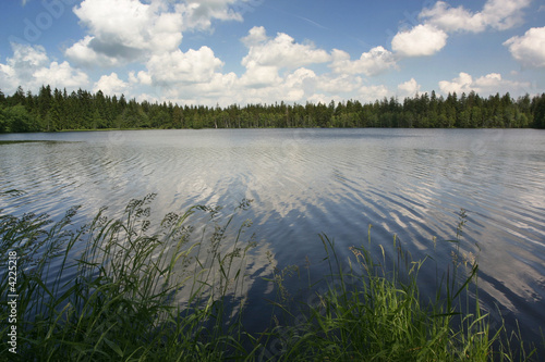 Landscape, 8