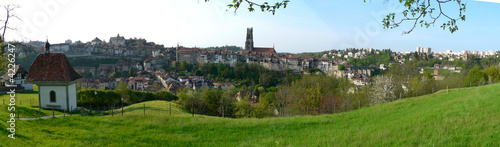 Vue de Fribourg