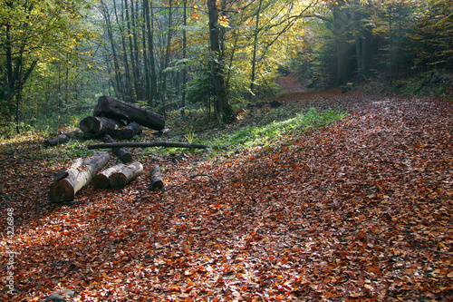Landscape, 13
