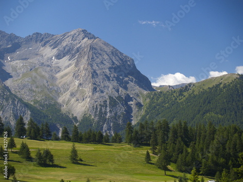 montagna estate