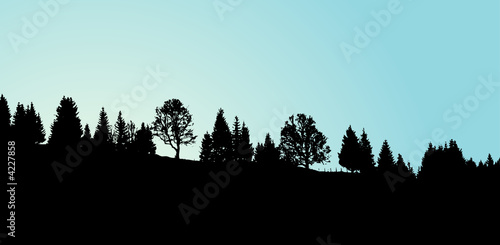 Lever du jour sur la forêt
