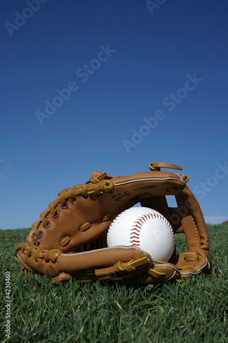 Photography Baseball & Mit in Grass