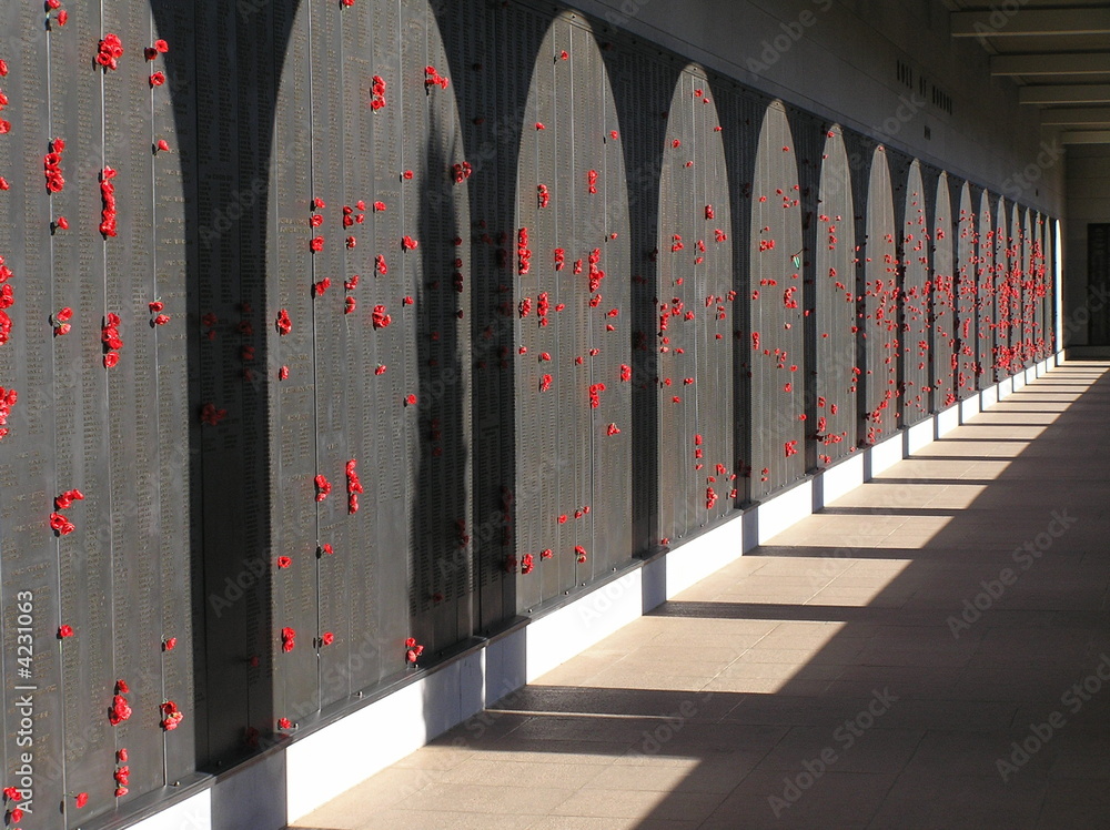 Fototapeta premium Poppies of Remembrance