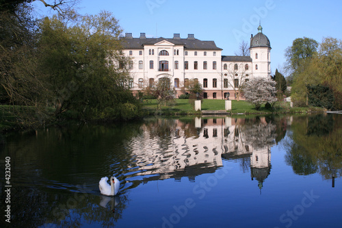 Der weße Schwan von Salzau