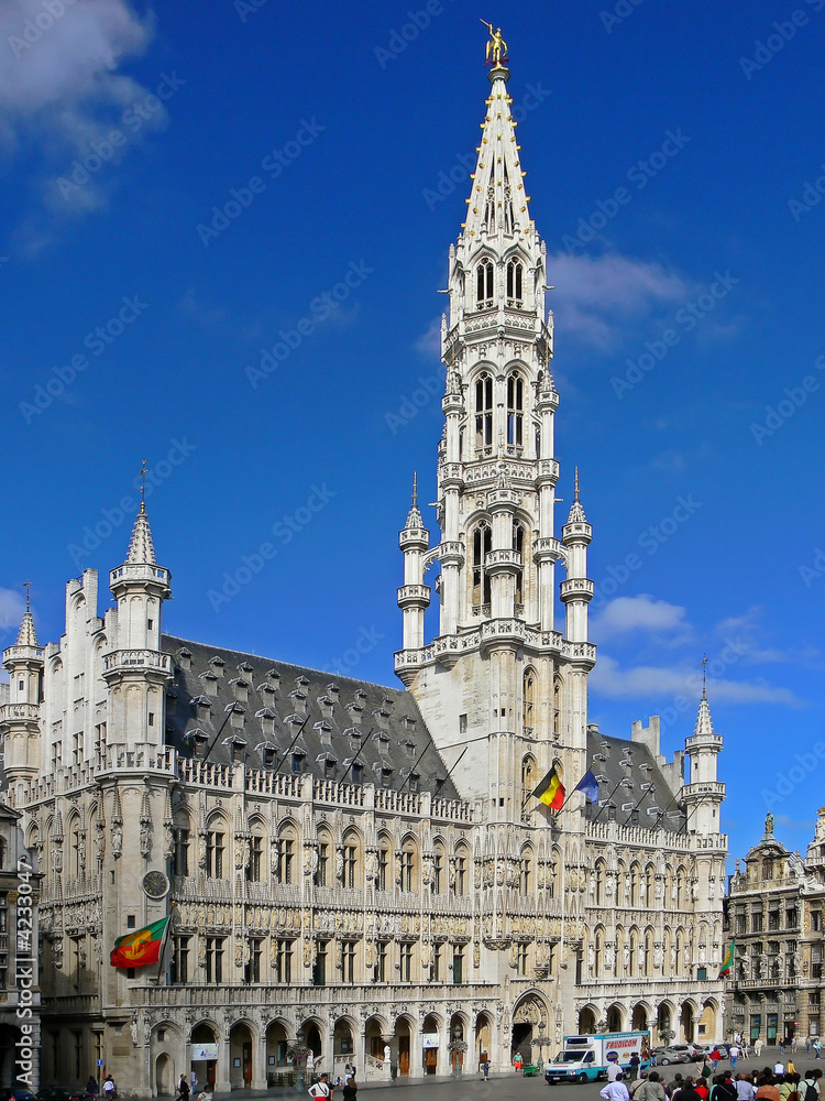 Town Hall in Brussels 