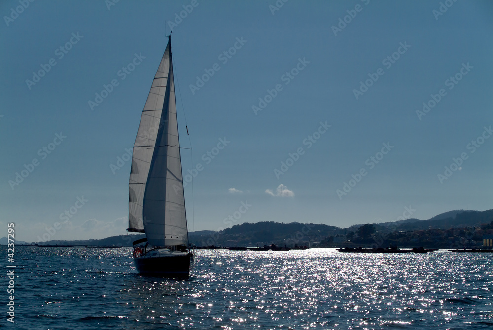 Obraz premium sailing ships