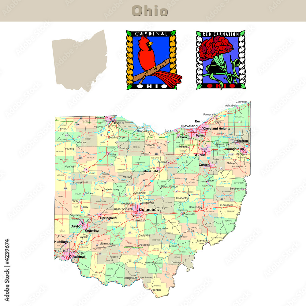 USA states series Ohio. Political map with counties Stock Illustration
